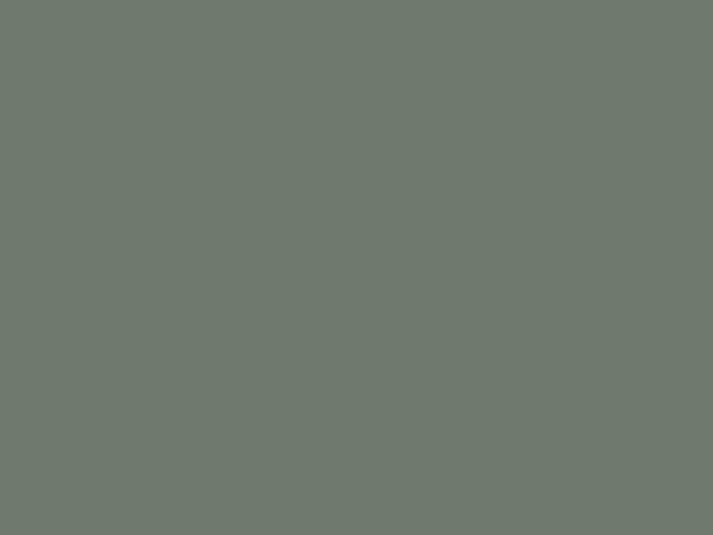 Detail PerfectSense Matt Eucalyptus groen U604 PM + folie / U604 ST9