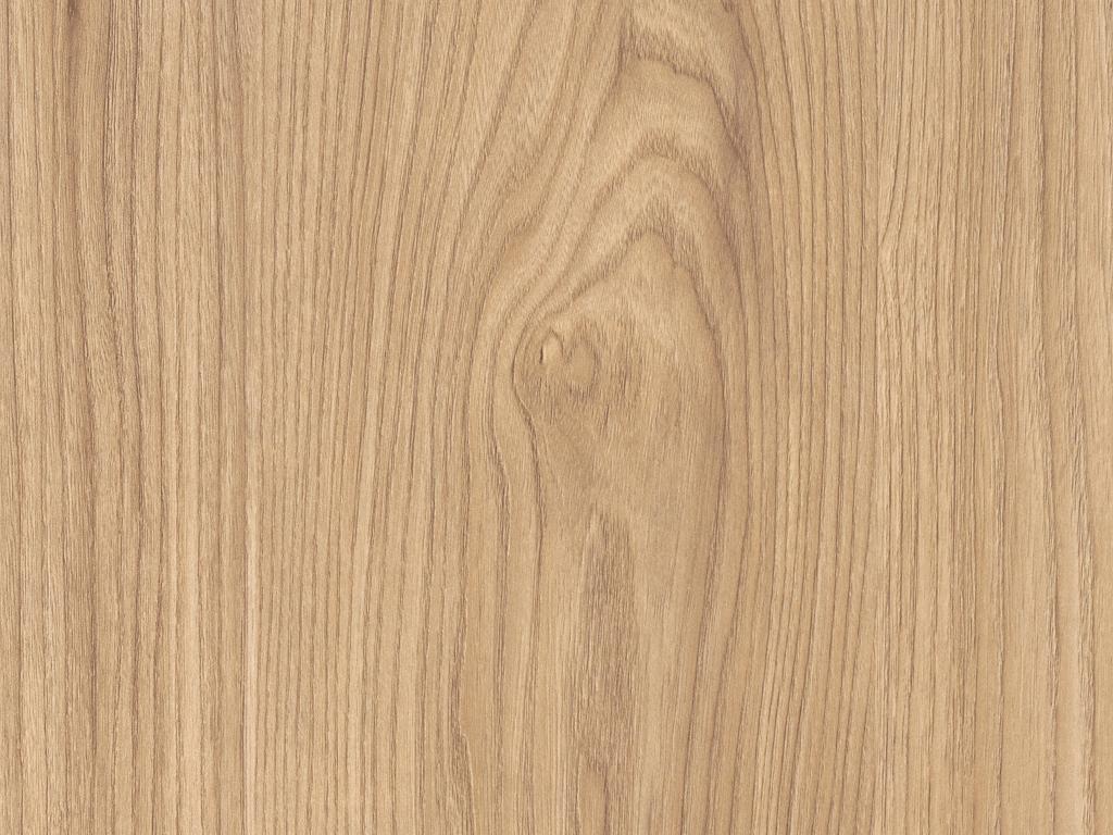 Detail ST10 H1242 Sheffield Acacia natuur