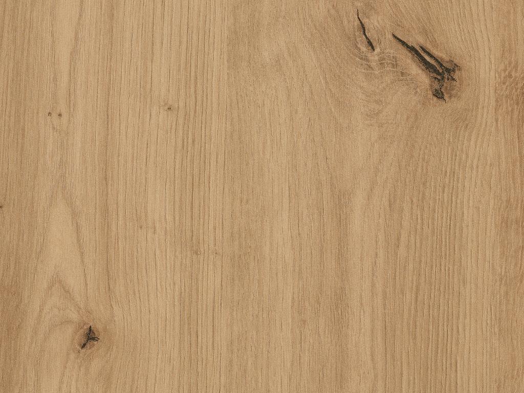 Detail ST10 H1318 Wilde eik natuur