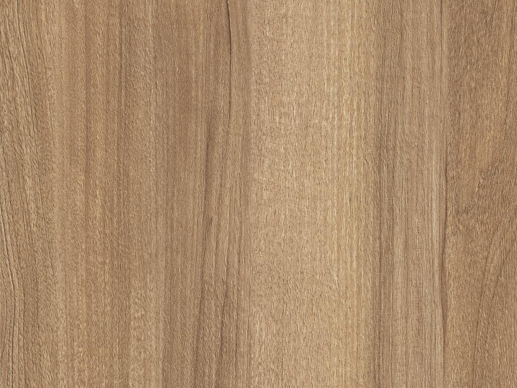 Detail ST10 H3700 Pacific notelaar natuur