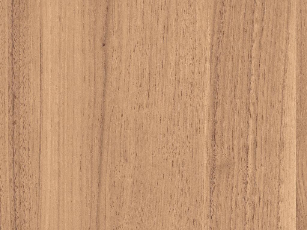 Detail ST12 H1715 Parona walnoot
