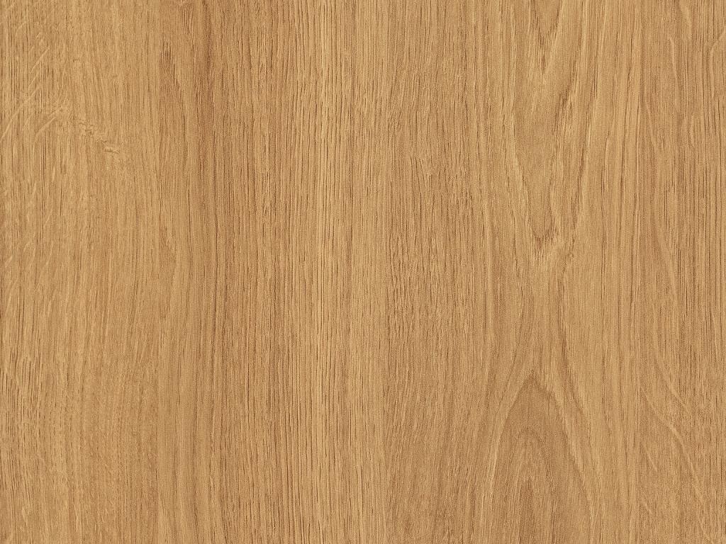 Detail ST12 H3395 Corbridge eik natuur