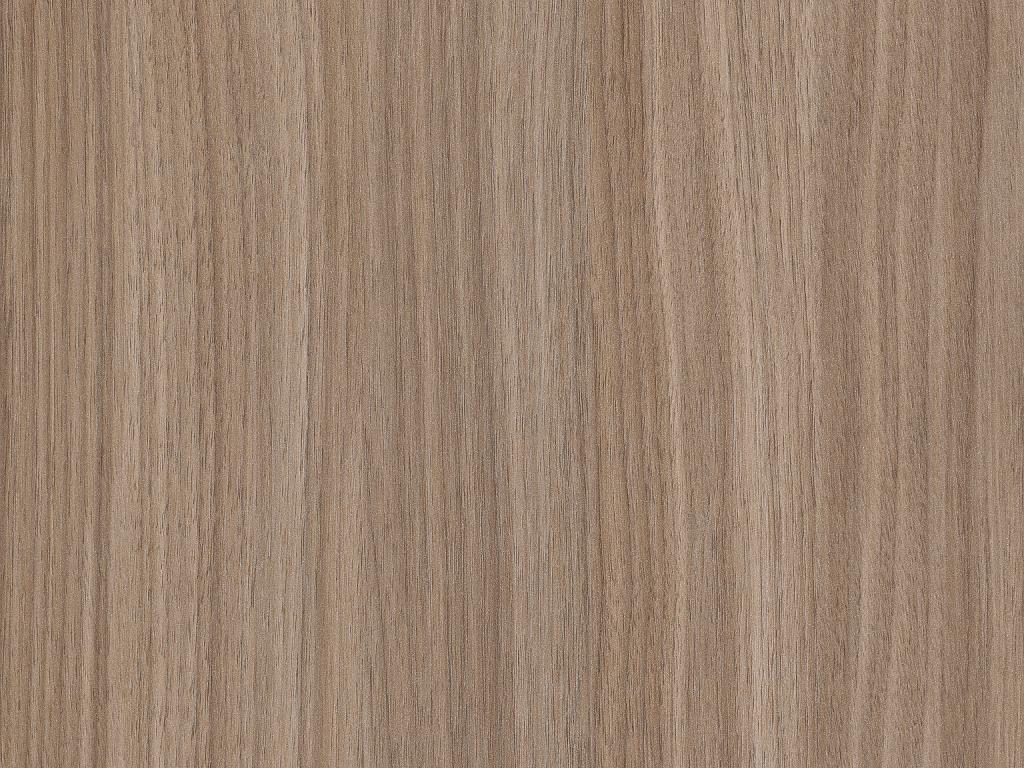 Detail ST17 H7604 Dimaro notelaar natuur