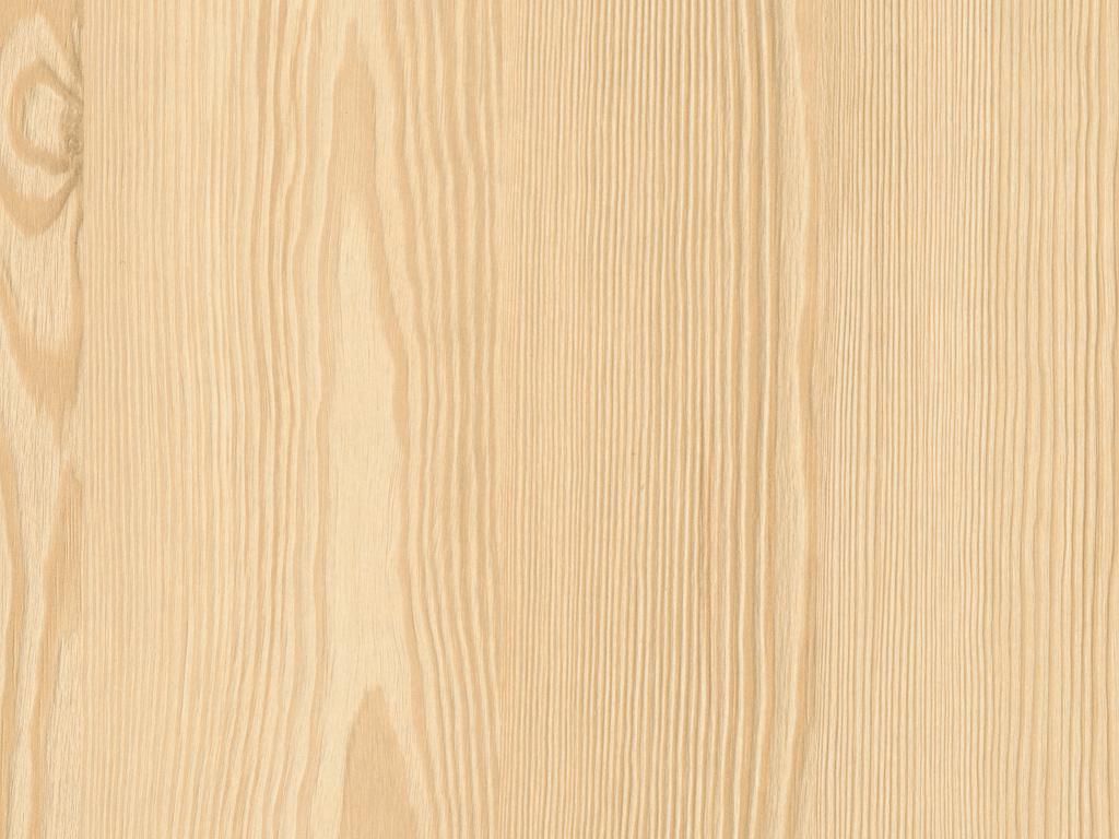 Detail ST38 H3409 Lariks natuur