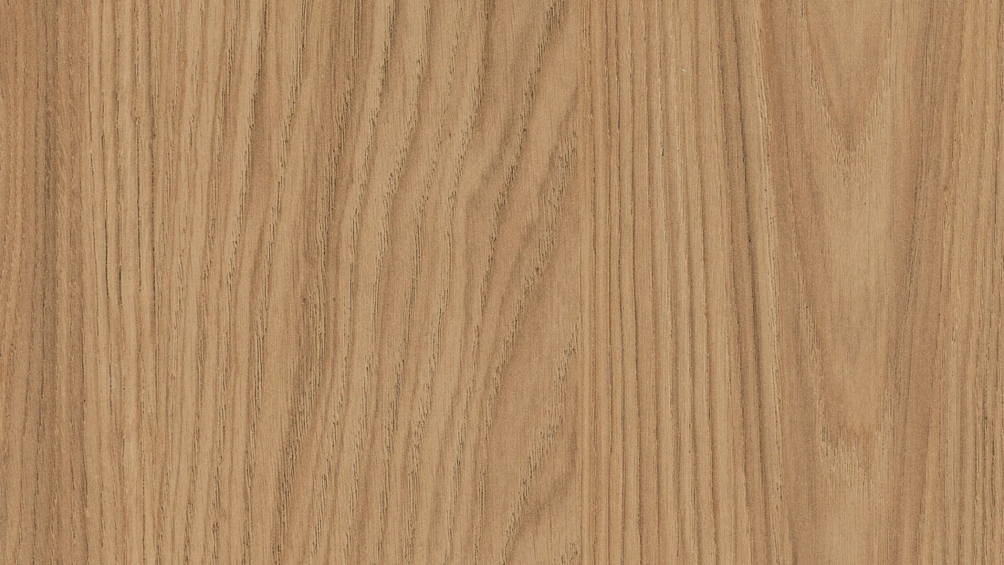 Detail ST40 H1385 Casella eik natuur