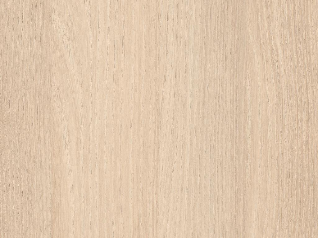 Detail ST9 H1277 Lakeland acacia licht