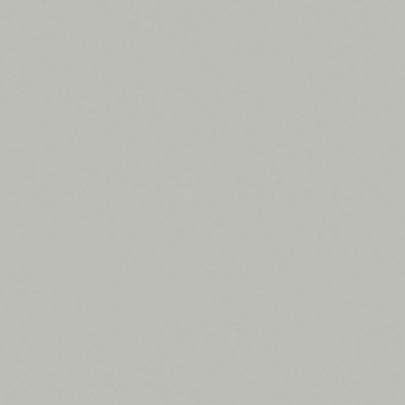 Detail BST 00625 Silicon