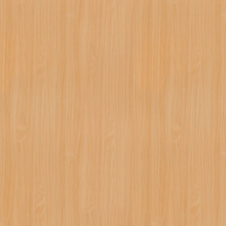 Detail CST 00747 Jura beech