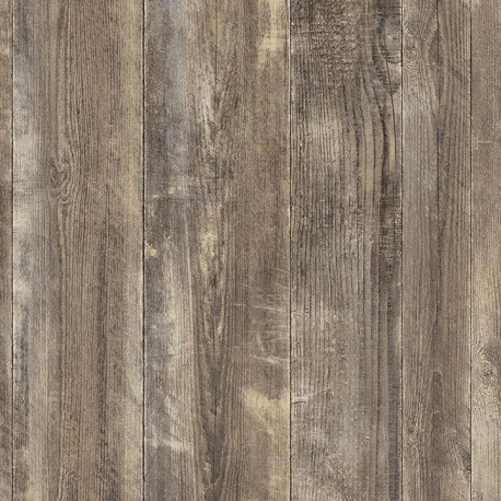 Detail W06 0H262 Barnwood bark brown