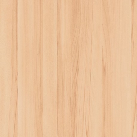 Detail BST 0H534 Odessa beech