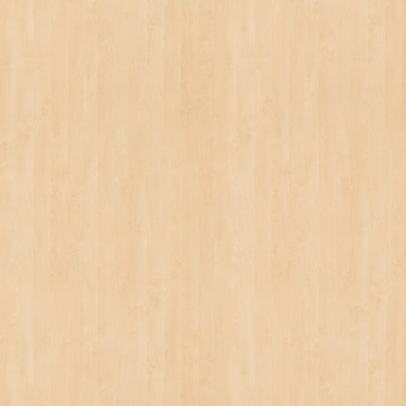 Detail BST 0H720 White birch