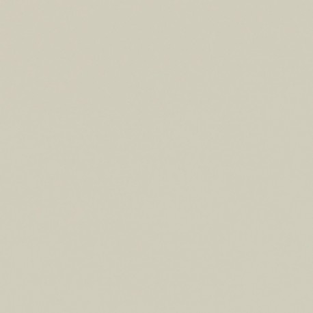 Detail CST 0U292 Turtle grey