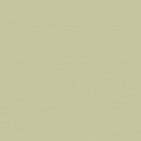 Detail BST 0U817 Lichen green