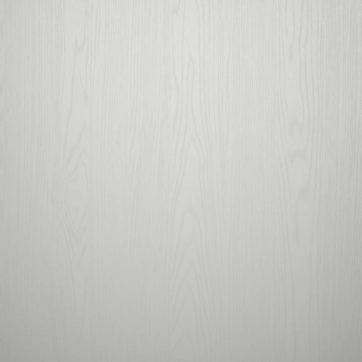 Detail V1A 0WE28 Everest white